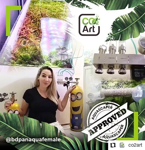Instagram-Beitrag von @bdpanaquafemale
