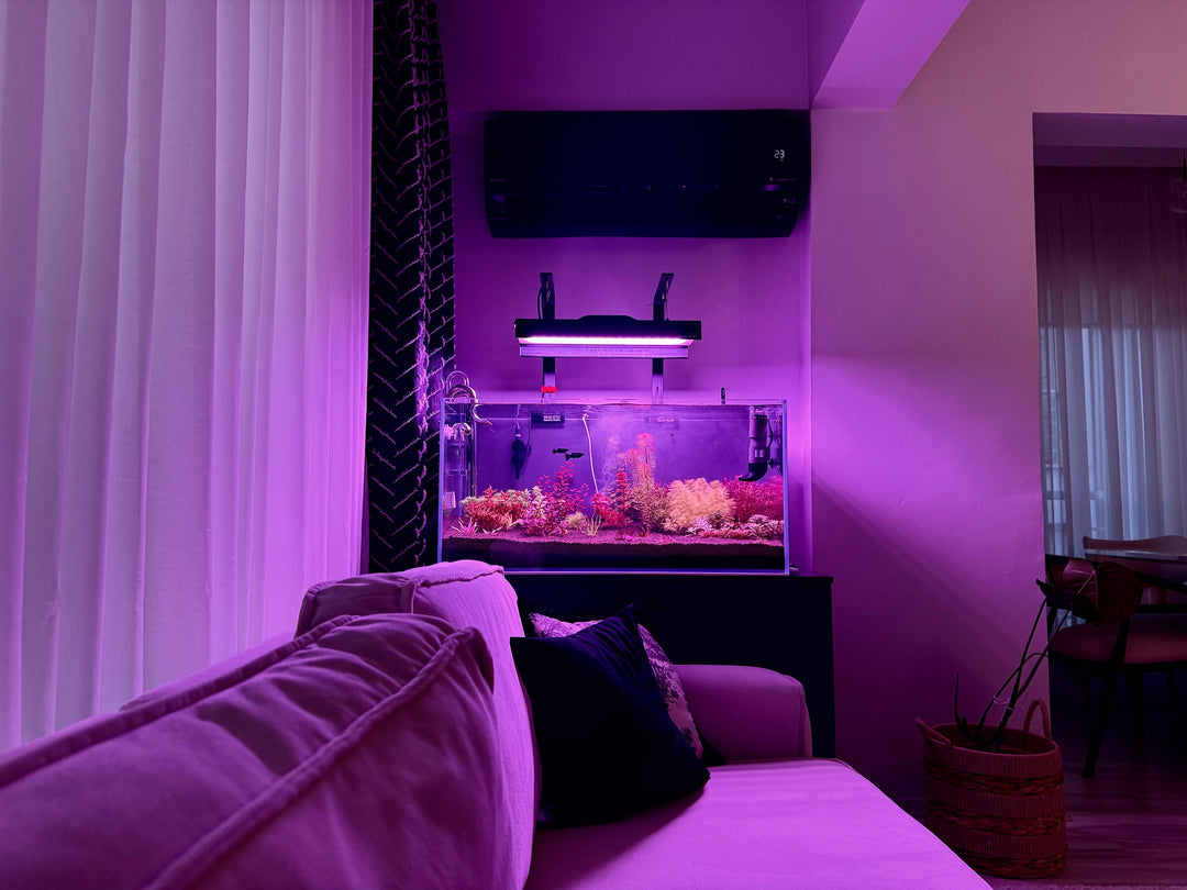 Instagram-Beitrag von @planted.aquarium.studio