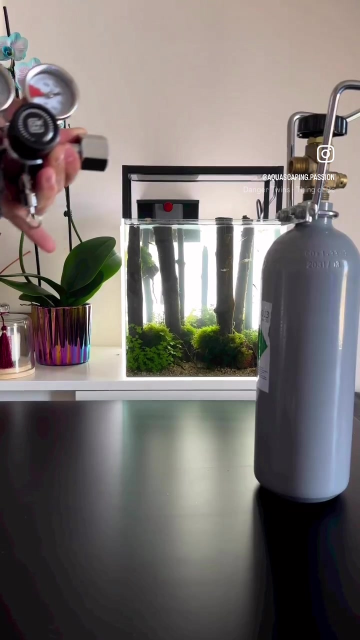 TikTok-Video von @aquascaping.passion