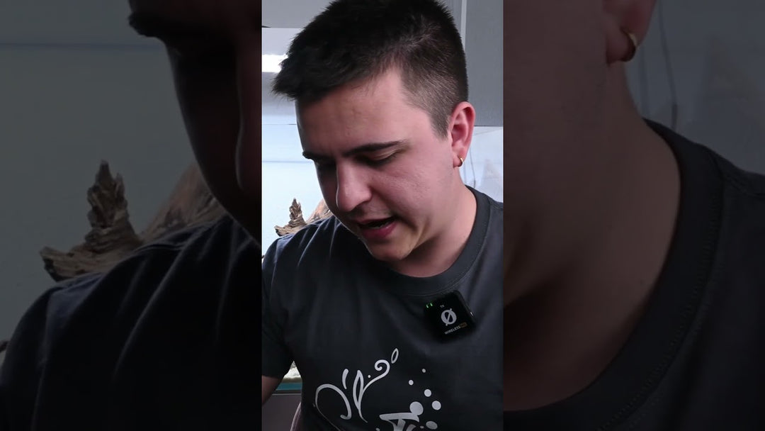 YouTube-Video von @expoaqua_es