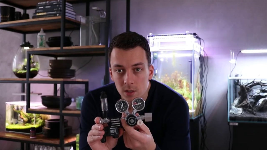 YouTube-Video von @mjaquascaping