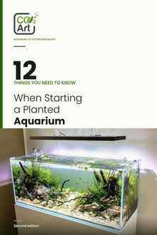 12 Dinge, die Sie beim Start Ihres Pflanzenaquariums wissen müssen – E-Book